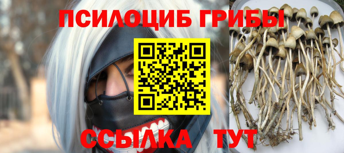 Галлюциногенные грибы MAGIC MUSHROOMS Москва