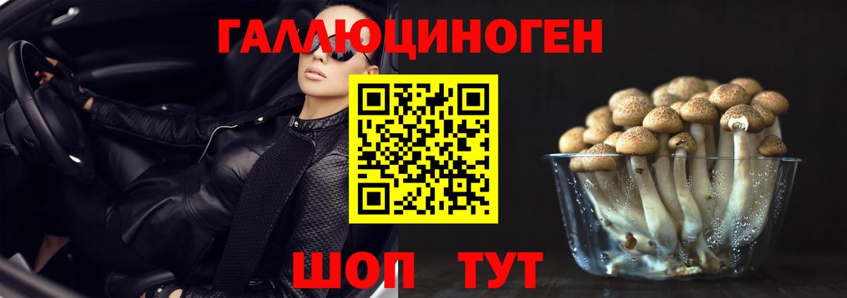 как найти   Псилоцибиновые грибы GOLDEN TEACHER  Вход с VPN  Москва 